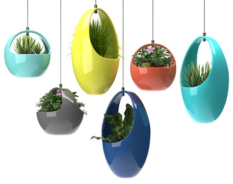 Modern Green Plant Hanging Basket Indoor Ornamental Green Plant
