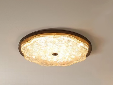 Middle Aged Ceiling Lamp Decorative Light