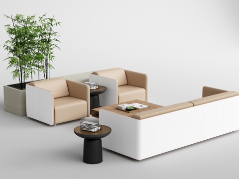 Modern Office Sofa Single Sofa Double Sofa