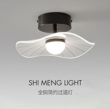 Modern ceiling lamp Decorative Light