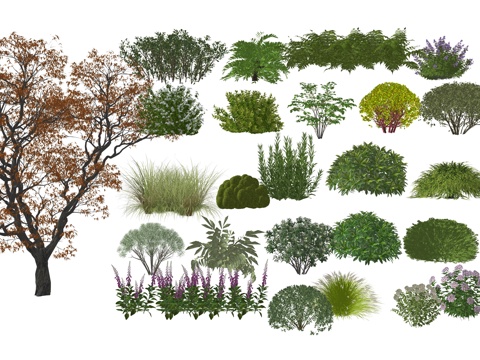 Garden Landscape plants flowers and plants landscape plants courtyard plants