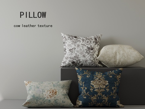 Modern French Pillow