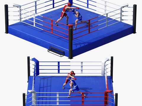 Boxing ring