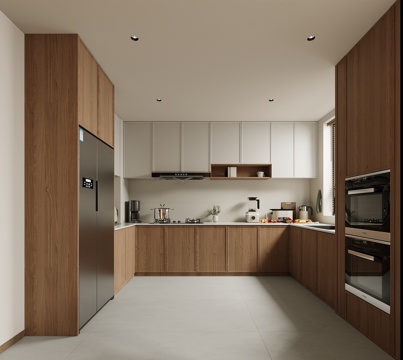 Modern Kitchen Mid-century Style Kitchen