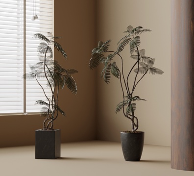 Antique Green Plant Potted Plant