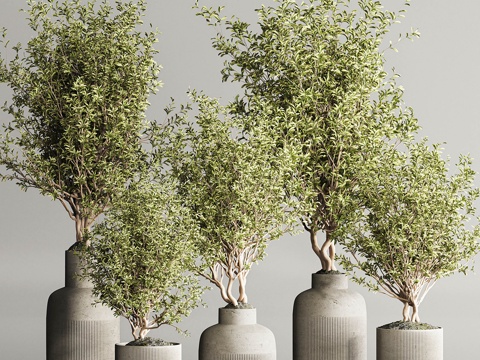 green plant potted plant