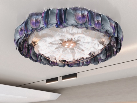 Modern ceiling lamp bedroom ceiling lamp living room ceiling lamp