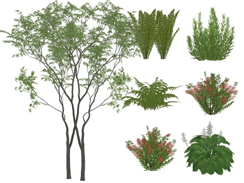 Courtyard Plants Flowers and Plants Plants Small Garden Landscape Ground-cover Plants Flower Box Flowers and Plants