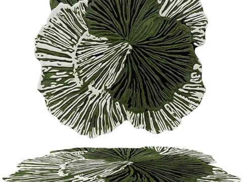 Modern Carpet