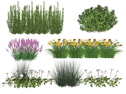 Courtyard Plants Flowers and Grasses Flowers Plant Park Landscape Ground-cover Plants Flower Box Flowers and Grasses