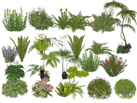 Courtyard Plants Flowers and Plants Small Garden Landscape Ground-cover Plants