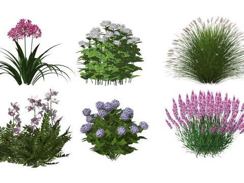 Modern Courtyard Plants Flowers and Plants Small Garden Landscape Ground-cover Plants
