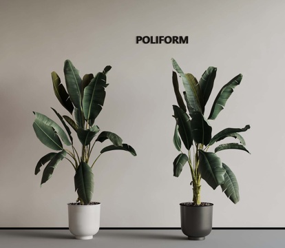 green plant