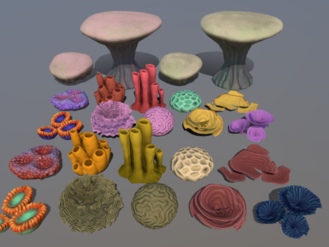 aquatic plants seafloor plants reef coral anemone