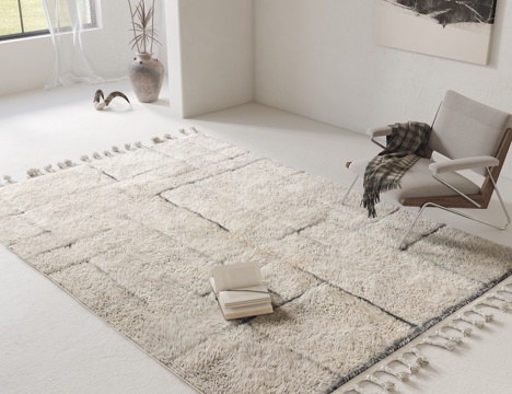 Modern Carpet Plush Carpet Living Room Carpet Bedroom Carpet Lounge Chair
