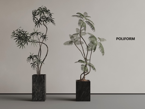 Antique Green Plant Potted Plant