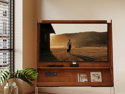 39 French Antique Stand TV Mobile TV