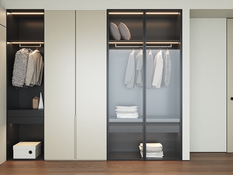 Modern Wardrobe Simple Wardrobe Glass Wardrobe