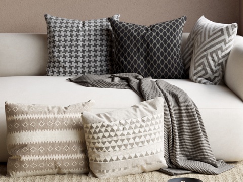 06 Pillow Modern Pillow Pillow