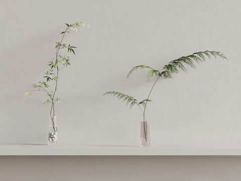 05 Green Plant Modern Green Plant Desktop Green Plant