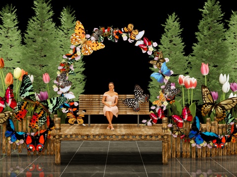 Modern Butterfly Art Display Butterfly Theme Pin-in Photo Butterfly Wreath Seat Fairy Tale Forest Flower Border