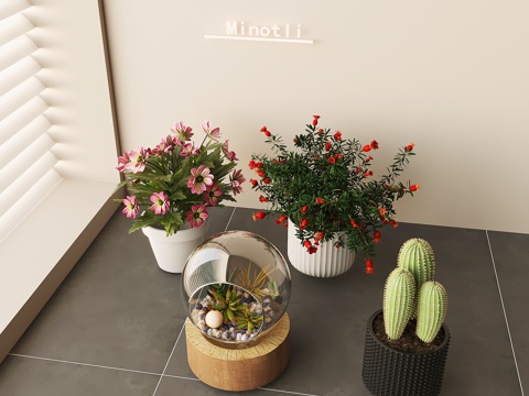 potted flowers plant decorative flowers