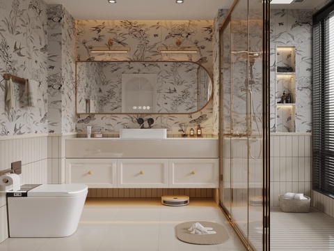 08 Toilet French Bathroom Bathroom Cabinet Toilet