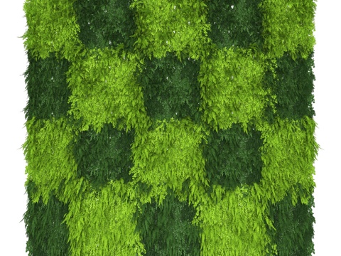 plant wall green plant wall