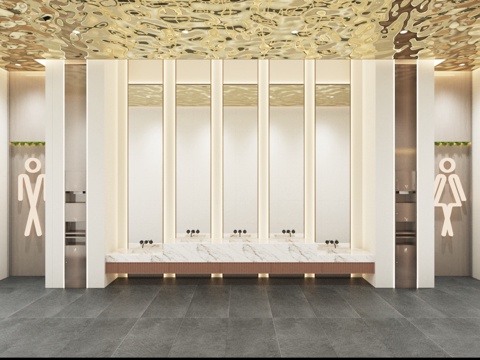 Public toilet