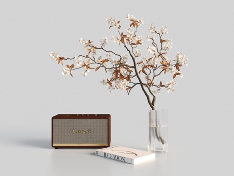 Modern ornaments