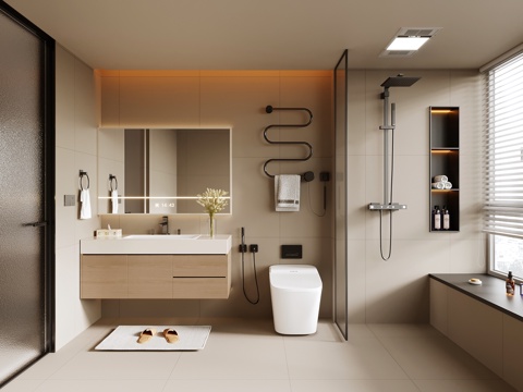 Modern Toilet Bathroom Cabinet Toilet Shower