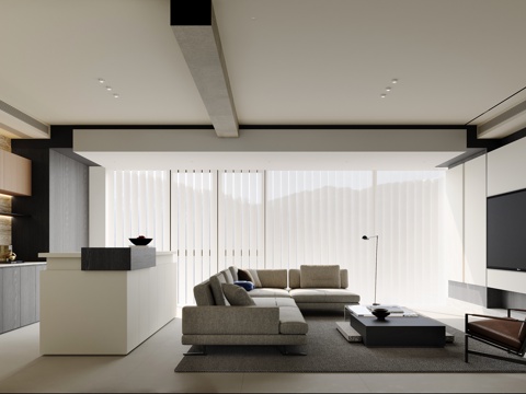 Modern Minimalist Living Room