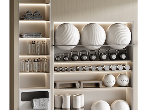 Modern sports fitness equipment cabinet
