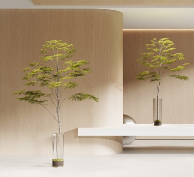 Modern Green Plant Vase