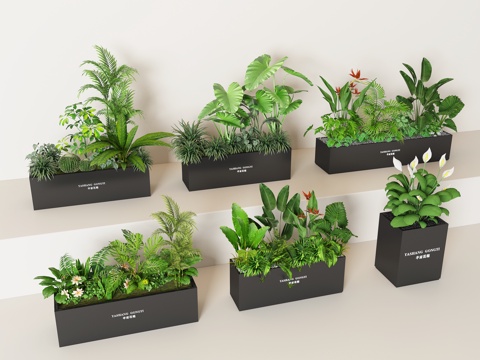 Modern Green Plant Flower Box