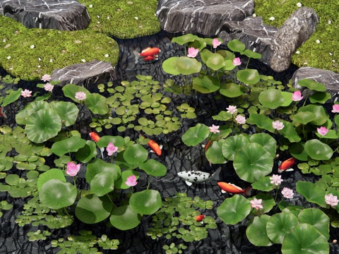 New Chinese Aquatic Plants Lotus Fish Pond Goldfish Landscape Stone Bryophytes Lotus