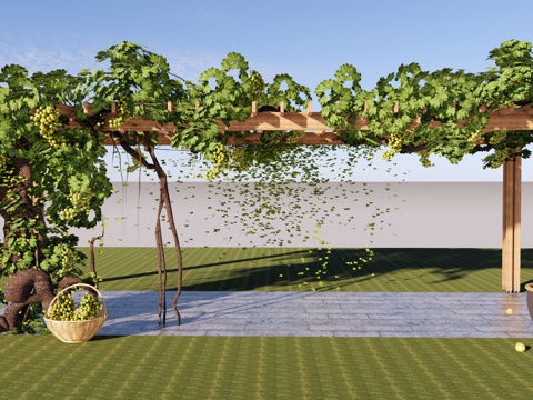 Modern Corridor Rack Grapevine Corridor Rack Garden Vine Flower Rack Climbing Vine Plant Country Vine Wooden Rack