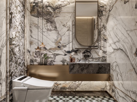 Modern Affordable Luxury Style Toilet