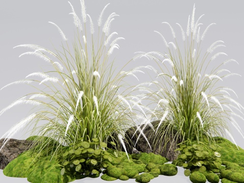 Modern Setaria pennisetum Floral Bryophyte assemblage