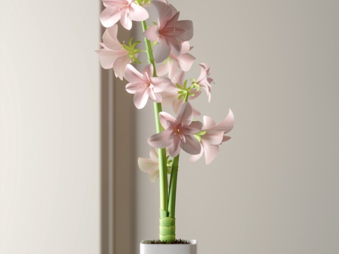 potted flowers