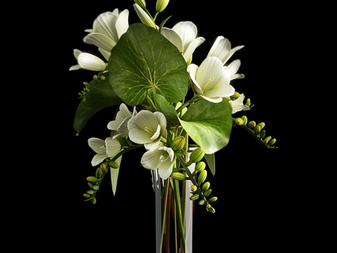 Modern Vase Flower Glass Flower Arrange Indoor Green Plant