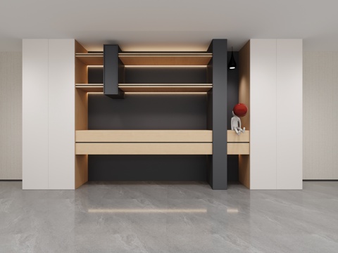 Modern Display Cabinet