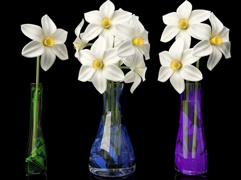 Modern Vase Flower Glass Vase Flower arrangement Flower combination