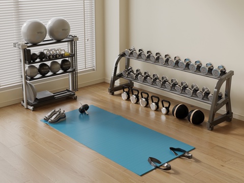 Modern Fitness Equipment Dumbbell Yoga Mat