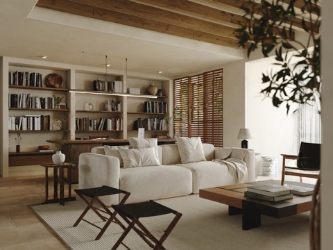 Mid-century Style Living Room