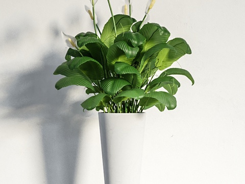 Modern Plants Flowers Floral Art Flowers Indoor Green Plants