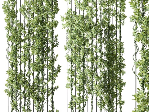 Vertical Garden Partition-suit 111