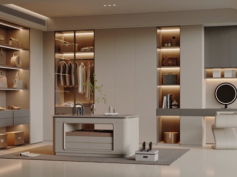 Modern Simple Cloakroom Wardrobe Glass Wardrobe