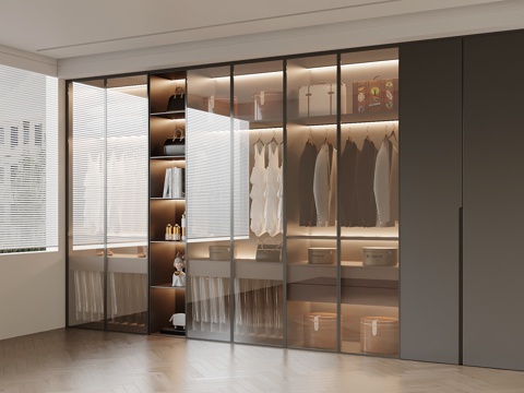 Modern Simple Cloakroom Wardrobe Glass Wardrobe