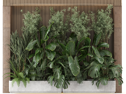 Modern Quiet Courtyard Green Plant Wall Plant Pile
